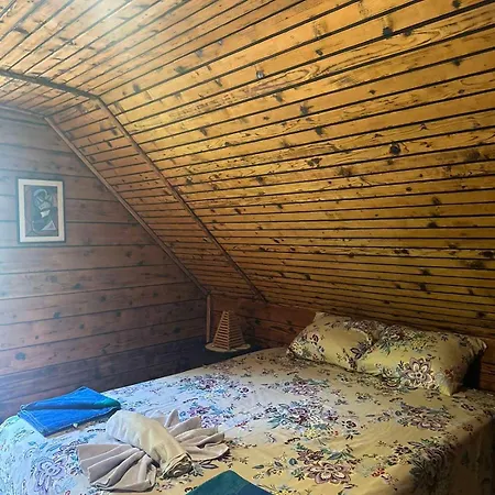 Vikendica Lenka * Sijarinska Banja
